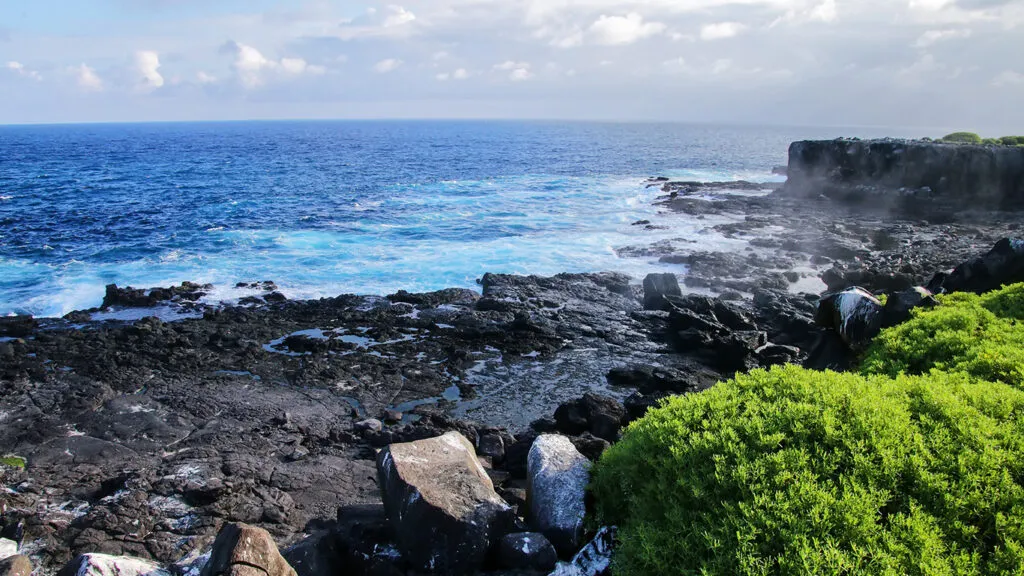 La costa rocosa de lava negra se encuentra con las olas azules del océano bajo un cielo nublado, con arbustos verdes en primer plano.