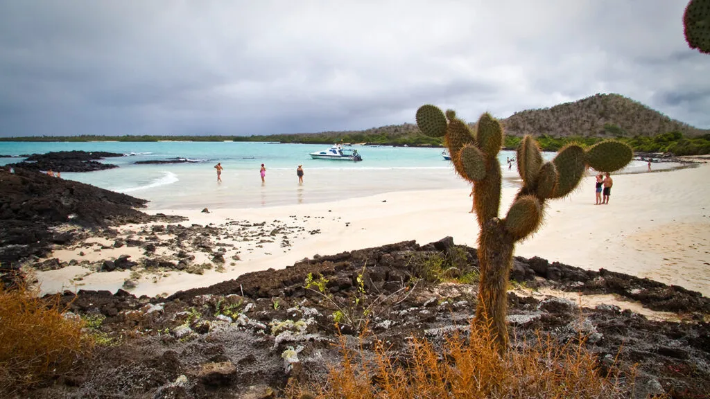 Un cactus en primer plano domina una playa de arena con gente, rocas volcánicas negras, agua turquesa, un barco y lejanas colinas verdes bajo un cielo nublado.