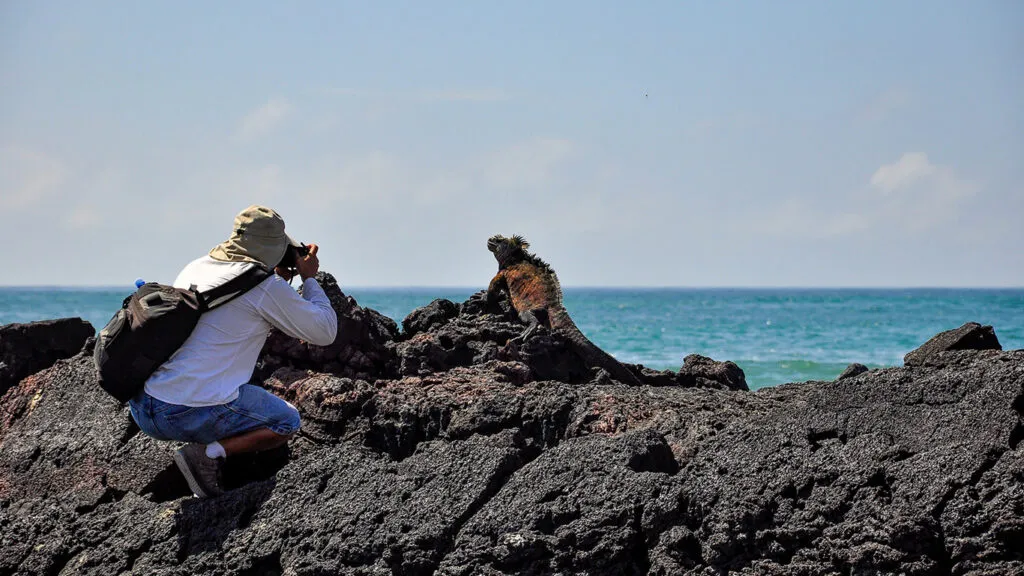 Una persona con sombrero para el sol se arrodilla sobre rocas volcánicas, fotografiando una iguana marina con el océano de fondo.