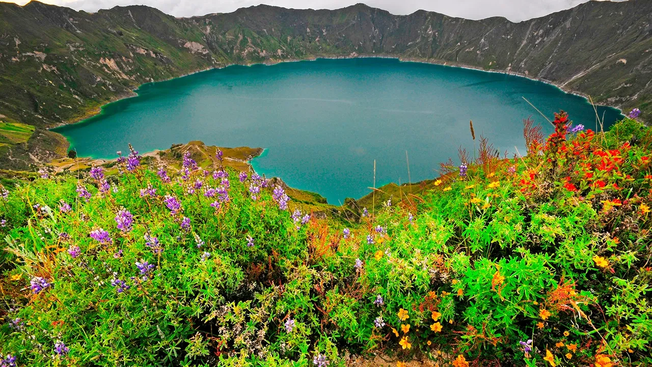 Un lago azul rodeado de flores de colores.